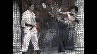 Rare Bruce Lee Photos 2016