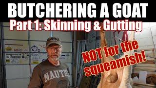 Butchering a goat this week Dan shows skinning and gutting