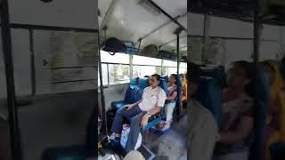 Andaman bus driver traveling mayabunder to Port Blair? #diverprodivemaster