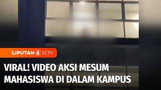 Viral Video Aksi Mesum Mahasiswa di Dalam Ruangan Kampus PTN di Surabaya  Liputan 6
