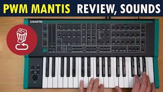 Review PWM Mantis  Heres what makes it special  Pros cons and tutorial
