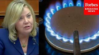 People Wont Have A Choice Debbie Lesko Hammers New Proposed Biden Gas Stove Rule