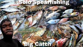 Solo Spearfishing  Big Catch  The Most Dangerous Time To Spearfish  In Dirty Waters Solo