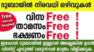 ദുബായിൽ നിരവധി ജോലി അവസരങ്ങൾ   Dubai Job Vaccancy Malayalam  Dubai job vaccancy 2023  UAE Jobs