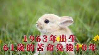 1963年出生61歲的「苦命兔」後10年，人生兩個大刧！即將擺脫一生命苦的日子！｜兔生肖運勢