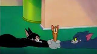 Tom And Jerry English Episodes - A Mouse In The House - Cartoons For Kids