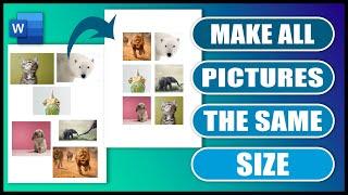 How To Make Pictures in Word The Same Size  EASY TUTORIAL