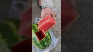 Afghani Water Melon  In Summer ️ #fruit #fruitcutting #afghanistan #kabul #afghan