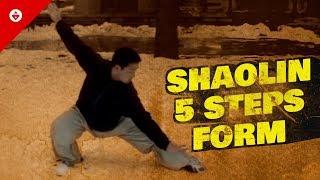 Shaolin Five Steps 五步拳  FIRST FORM You Should Learn  Shaolin Kung Fu Basics