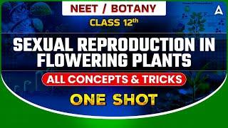 SEXUAL REPRODUCTION IN FLOWERING PLANTS CLASS 12 ONE SHOT  ALL CONCEPTS & TRICKS  SANKALP BHARAT