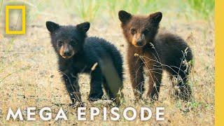 The Wonder of Americas National Parks  MEGA EPISODE Season 1 Full Episode
