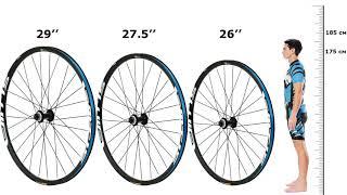 Диаметр колес велосипеда – сколько дюймов выбрать 26 275 или 29. Плюсы и минусы.