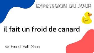 French expressions  il fait un froid de canard