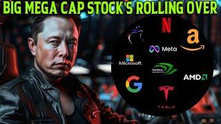 TECH STOCK ANALYSIS Amazon Google Meta Apple Tesla Msft Nflx Amd Nvda  #tsla #amzn #nvda