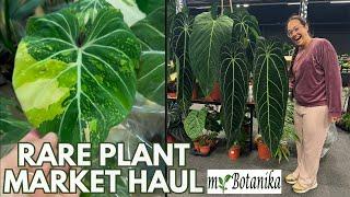 Rare plant market  HAUL myBotanika Houten  Plant with Roos