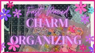 *FAST PACED*CHARM ORGANIZINGNO TALKING