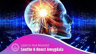 Soothe & Boost Amygdala Performance  Lower Anxiety Suppress Fear Response  Serene Music