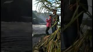  Mancing Liar Cimanuk Berburu Ikan Patin