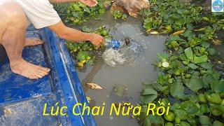 176  Thả câu chai nhựa bắt cá trê trắng P2  Fishing