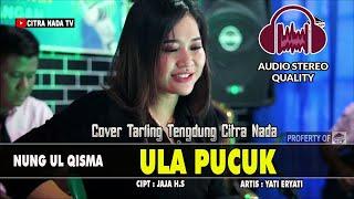 ULA PUCUK  NUNG UL QISMA  COVER TARLING TENGDUNG CITRA NADA