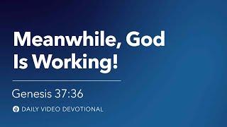 Meanwhile God Is Working  Genesis 3736  Our Daily Bread Video Devotional