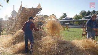 How Farmers Harvested and Threshed Wheat in the 1880s