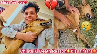 Chintu Ki Death ResionKisna Mara Chintu Ko Same Chintu K Jaisa Puppy Lena Gye