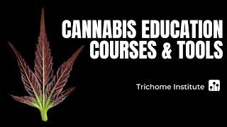 Cannabis Education Courses & Tools