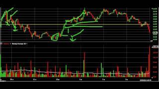 Day Trade Aria Feb. 29 2012