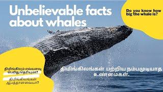 திமிங்கிலங்கள்  பற்றிய நம்பமுடியாத உண்மைகள் Unbelievable facts about whales whale Tamil English