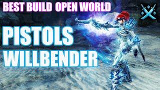 GW2 - Celestial Willbender - Open World Build - Guardian Gameplay PvE - Guild Wars 2 SotO