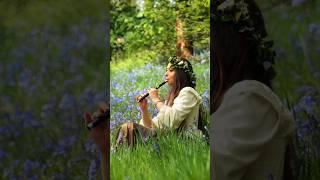 The Lord of the Rings - Concerning Hobbits on Tin Whistle in Middle Earth #whistle #shorts