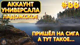 Аккаунт универсала #88  Пришёл на Сига а тут такое...  оз. Ладожское  Русская Рыбалка 4