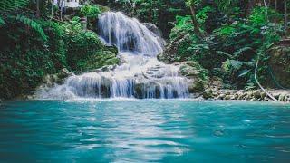 صدای آرامبخش آبشار جنگل ، تصاویر و صدای زیبای جریان آب
