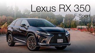 2020 Lexus RX 350 - Review - The Best Quiet and Luxurious SUV?