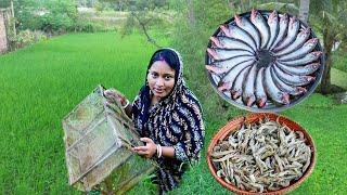 মাঠ থেকে চিংড়িমাছ ধরে কচুর লতি দিয়ে রান্না করলাম সাথে সরষে পাবদা রেসিপি  fish curry recipe