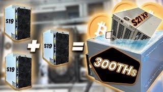 New S21 XP Bitcoin Miner has HUGE Profits and Power