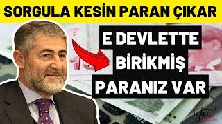 E DEVLETTE BİRİKMİŞ PARANIZ VAR SORGULA AL PARANI