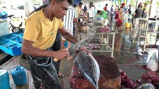 Fastest Cutting Speed  Fish Cutting Skills Sri Lanka