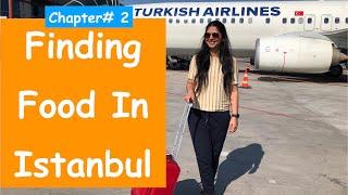 Istanbul City  Turkish Veg Food  In Hindi  Turkey Travel