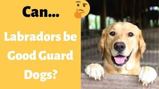 Are Labradors Good Guard Dogs?  Can Labradors Tell Friends From Intruders?