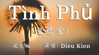 Tình Phủ（爱情宫 -  Diệu Kiên - 超高无损音质 越南歌曲 混音版）