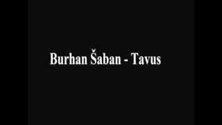 Burhan Šaban - Tavus zaljubljeni