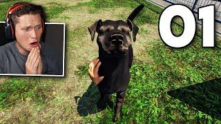 Animal Shelter Simulator - Part 1 - The Beginning