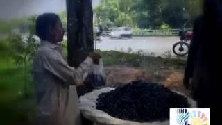 Jamun season PKG