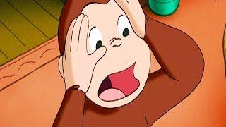 Curious George Hamster Cam Kids Cartoon Kids Movies Videos for Kids