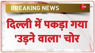 जानिए - कैसे खुला VIP चोर का राज?  Delhi VIP Thief  Aeroplan  Flight  Hindi News Update 