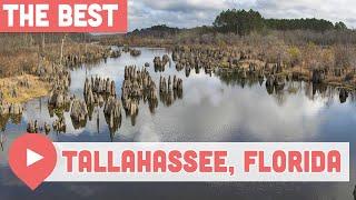 Best Things to Do in Tallahassee Florida