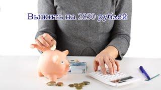 Выжить на 2850 рублей. День1.