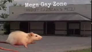 mega gay zone